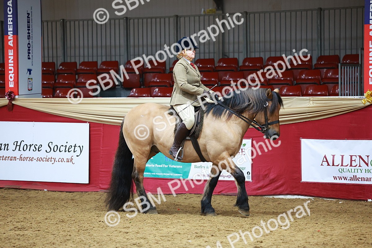 SBM_09349 - Class 102 - HOYS Veteran Qualifier - Ridden Veteran