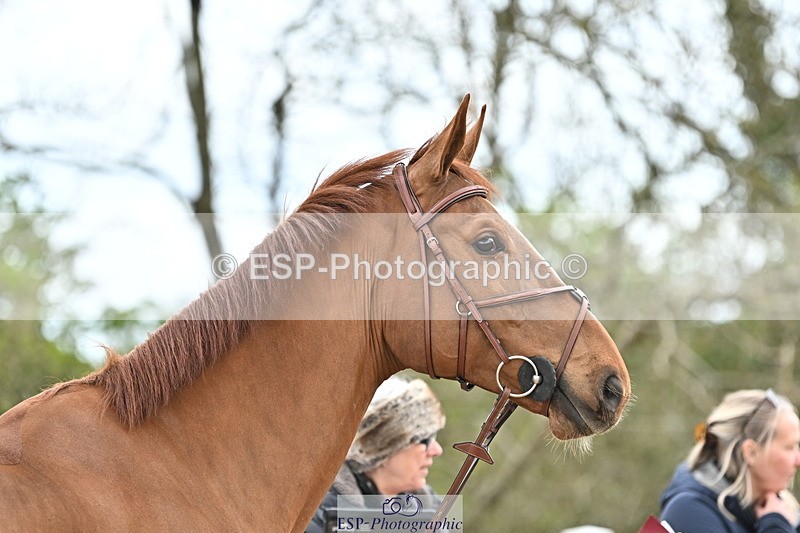 240417A-131511-00307 - 1pm to 2pm