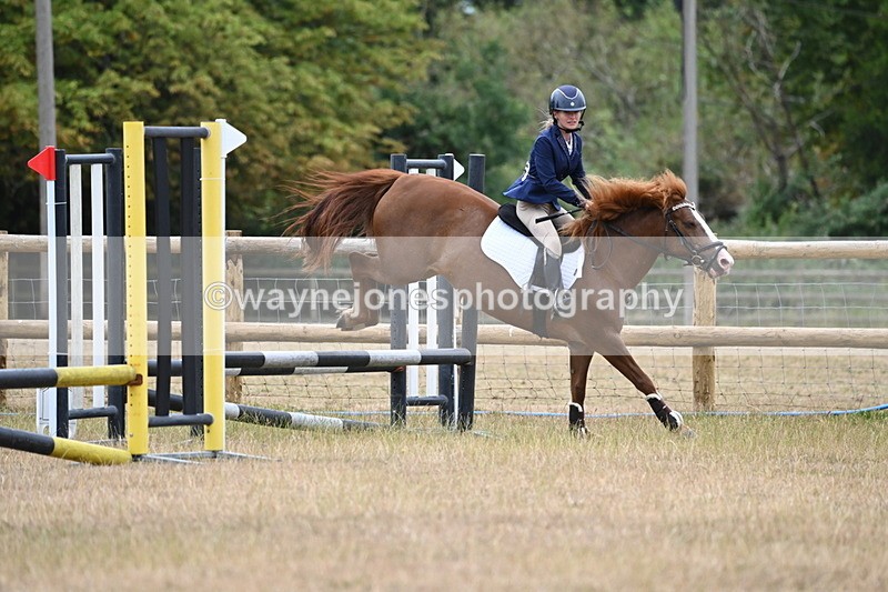 WJ6_0390 - Class 13 Novice Jumping 60cm