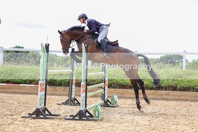 3E7A4363 - Class 8: Senior Foxhunter/1.20 open