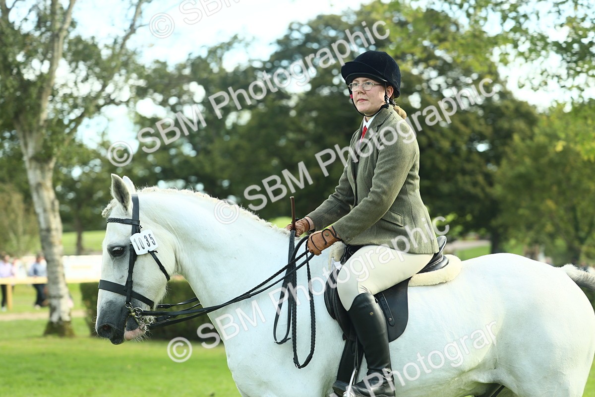 SBM_50694 - S33 - Working Hunter & Working Show Horse