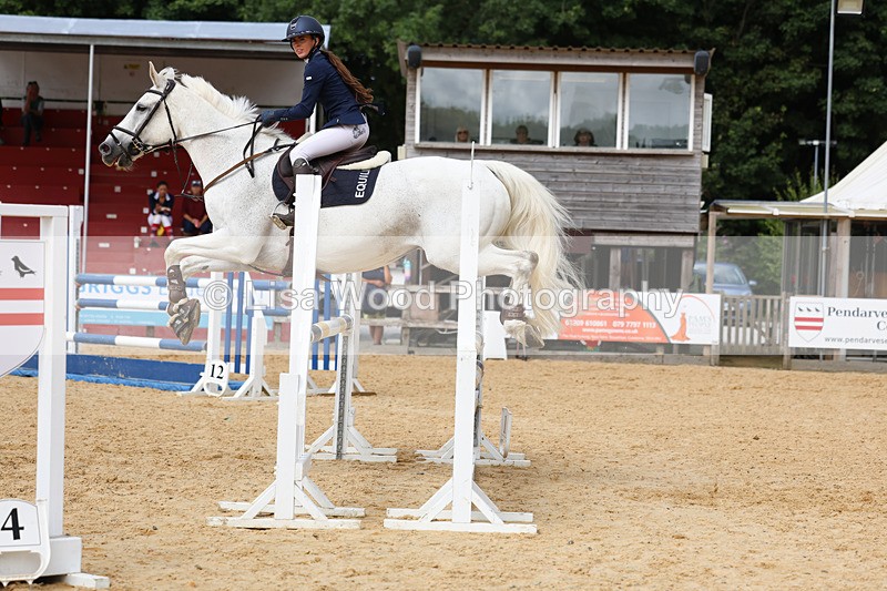 3E7A1737 - Class 13: Senior Newcomers/1.10m open