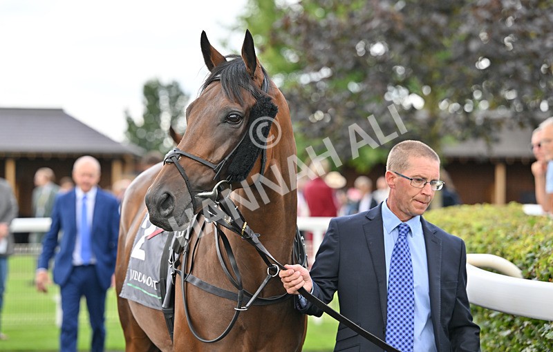 190826-175 Devils Advocate - Race 4 15.35pm Juddmonte International Stakes