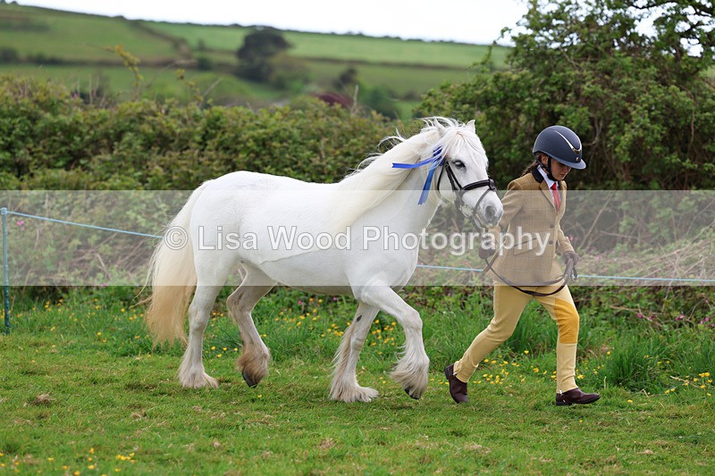3E7A0765 - In Hand Championship