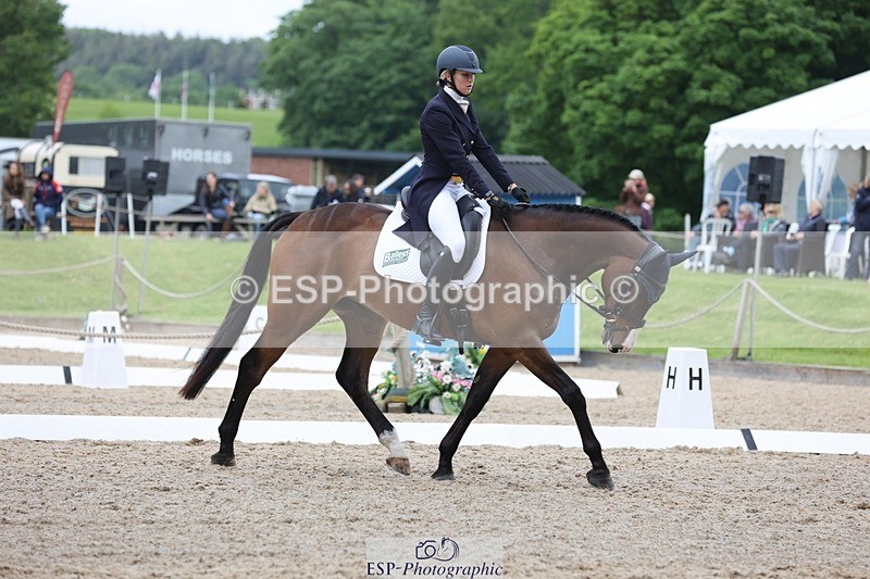 240523-104456-03396 - 214-DSH_GOLDEN_EYE-Lucinda_Mesquita