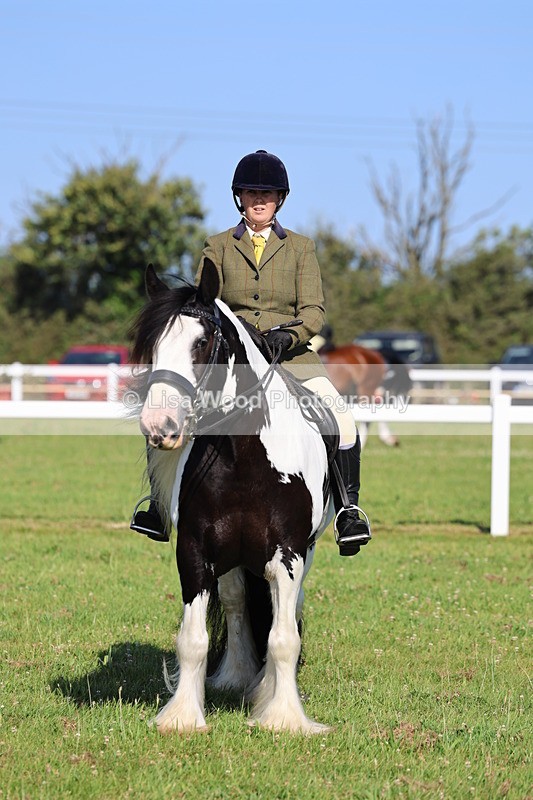 IMG_1546 - Class 30: Ridden Native/Trad Coloured Pony