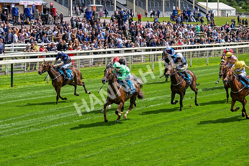 120626-Race 2-Everatease-6827 - Race 2 14.25pm Constant Security Keeping York Racegoers Safe Rous Selling Stakes
