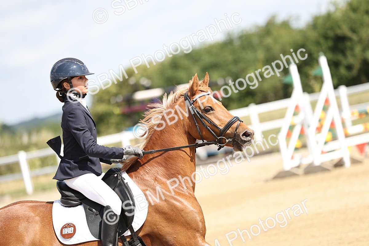 SBM_004024 - 60cm showjumping