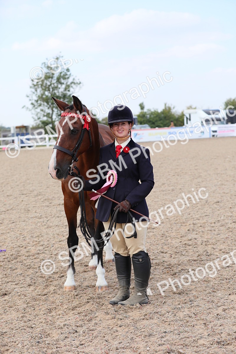 SBM_15876 - Class 312 IH Competition Horse/Pony