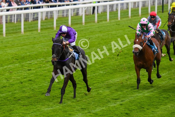 180523-Race 6-Cuban Thunder-0747 - Race 6 4.45pm Frank Whittle Partnership ebfstallions.com Maiden Stakes