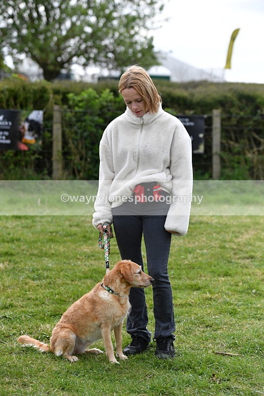 WJ5_9352 - Class 1 Best Cross Breed / Heniz 57