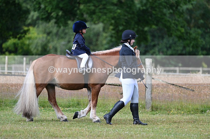 WJ7_4452 - Class 1 Lead Rein Pony