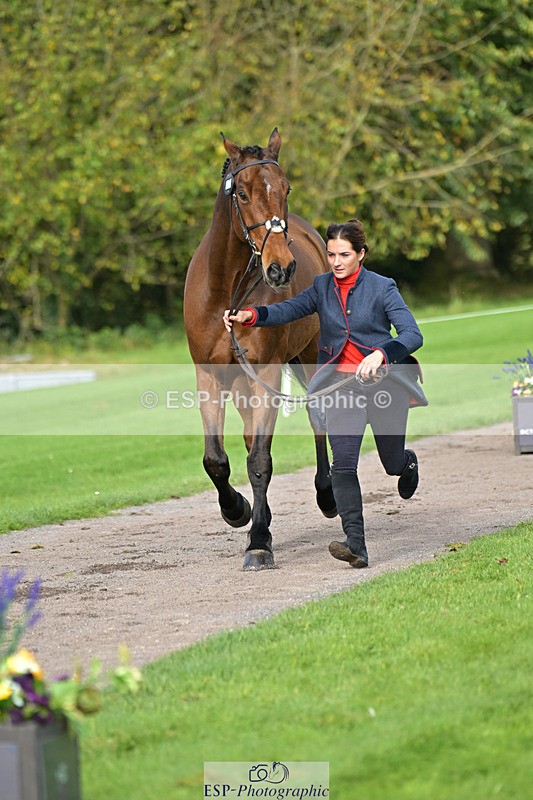 241023-132658-00296 - 053-Lois.Teal-Z7.CATASTROPHE