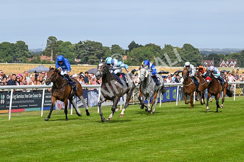 140824-Race 5-Havana Blue-6670 - Race 5