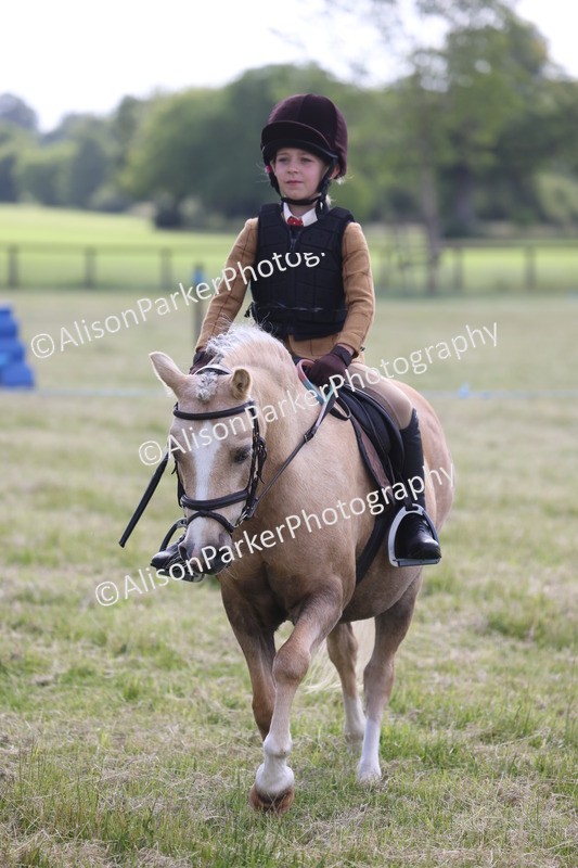 20260614-0467 - Class 20 - Beginners Working Hunter Pony