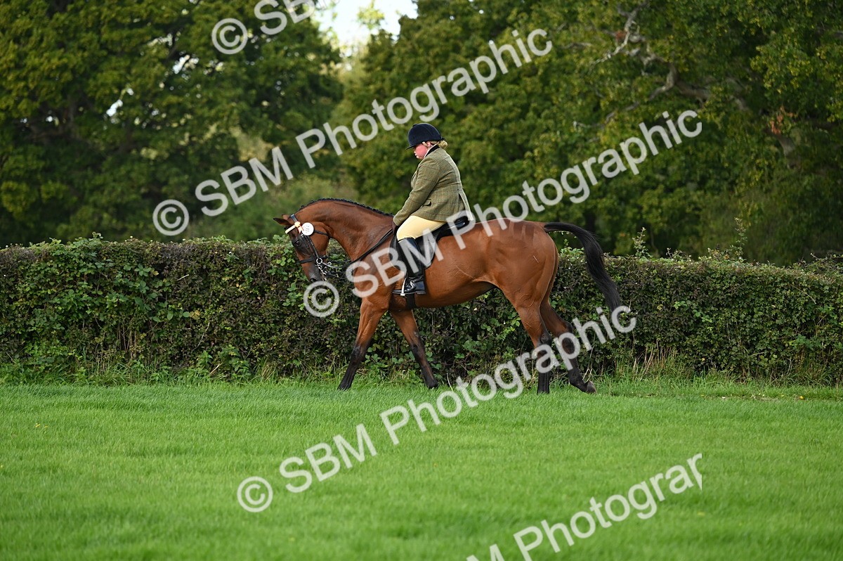 SBM_01560 - S2 - TSR Ridden Horse Showing