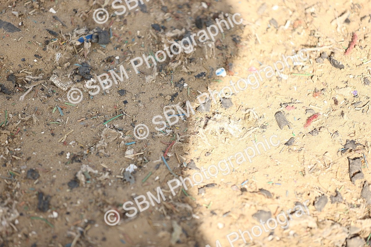 SBM_008407 - Class 8-10-11 - N3-E1-PYO