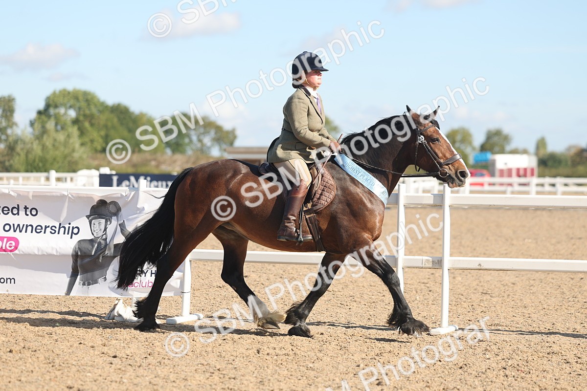 SBM_12448 - Class 304 - Ridden part Bred Horse Pony