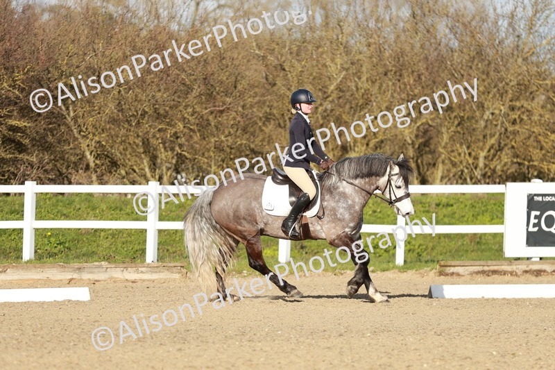 20260314-5419 - DR4 - Prelim 2