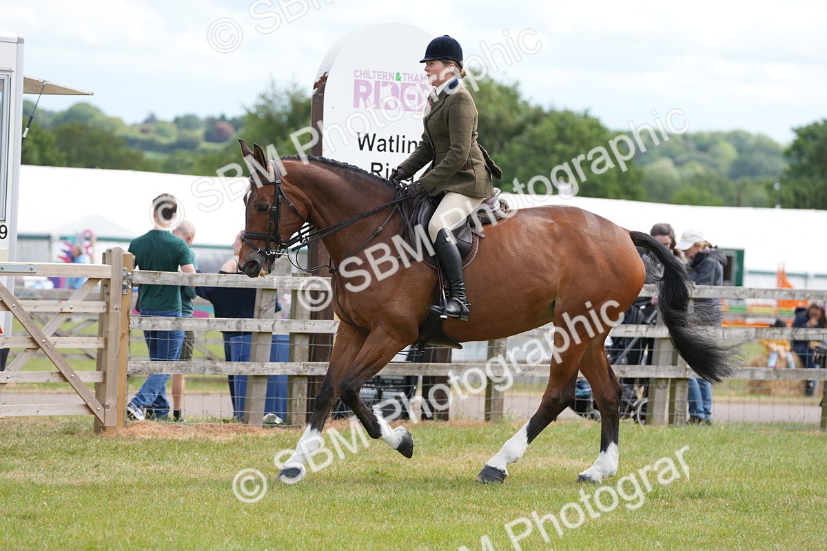 SBM_15016 - Class 100-102 - RIHS Working Hunter