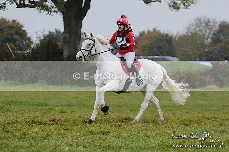 WWHT 181020 WWHT 181020 447 - WWEC Open Novice (0.80m) 18/10/20