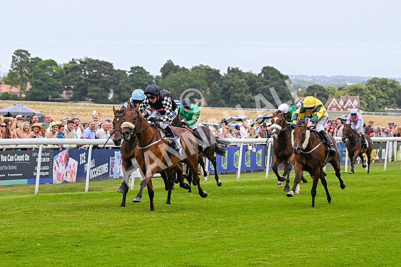 140824-Race 3-King Sharja-6210 - Race 3