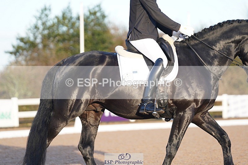 241214-101946-00150 - 115-Joe.Roome-Monarchs.Way.Tobiah