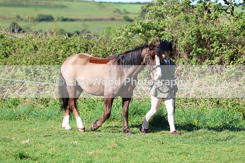 3E7A8310 - Class 12: M & M Small Breeds