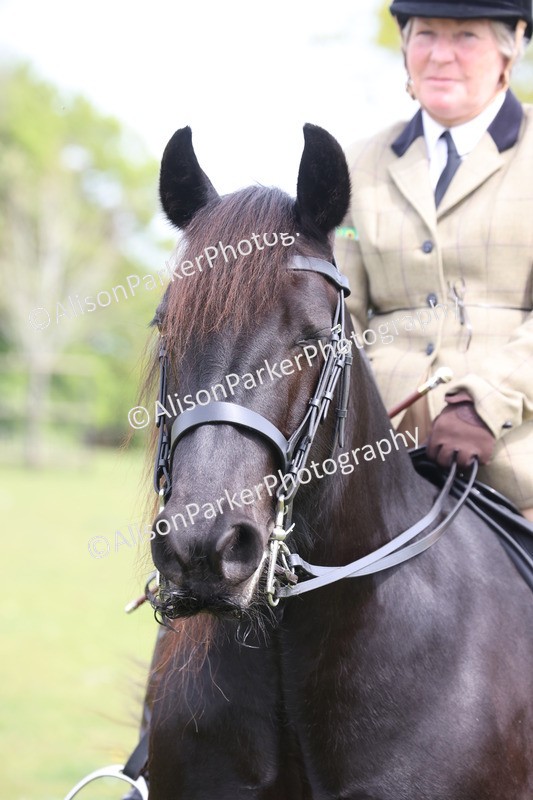 20260426-3043 - Class 33 - Best Pony 14.2hh and Under