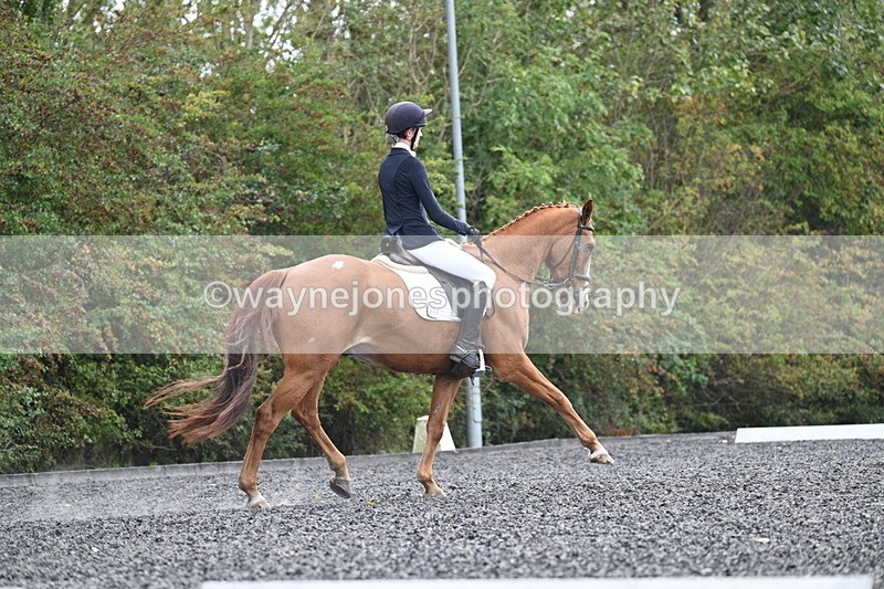 WJ7_6775 - Time 14:49 to 15:14