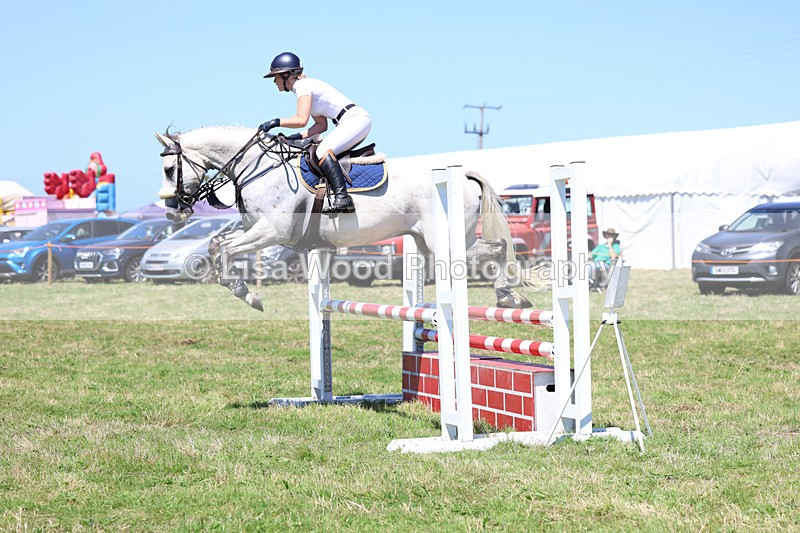 3E7A5595 - Class 9: Senior British Novice/90cm open