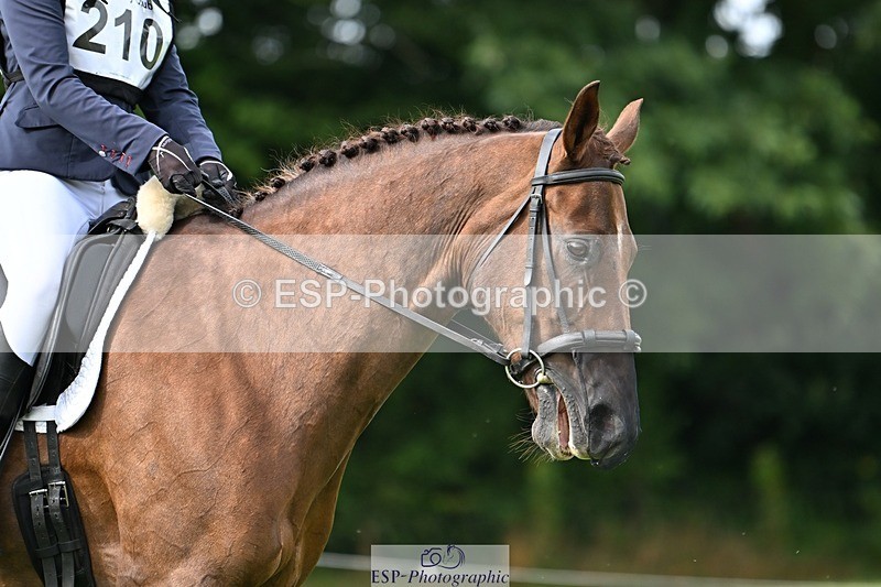 230826-100435-16355 - Sections A & B 10 to End