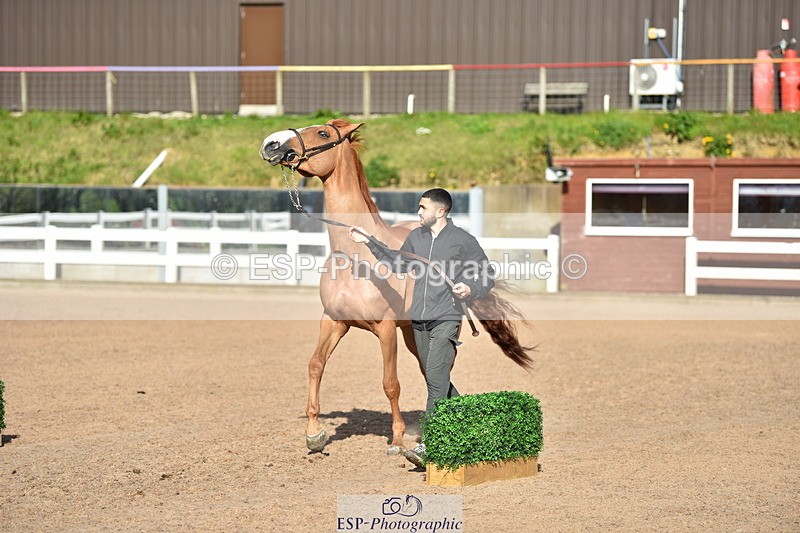 240417A-170614-01362 - 4pm to Finish