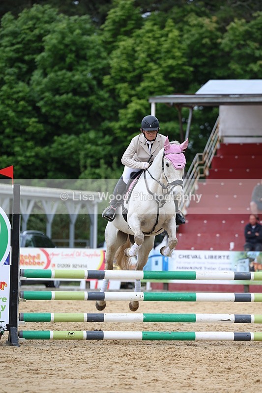 3E7A6274 - Class 4: Senior British Novice/90cm open