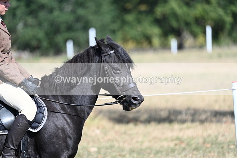 WJ7_3466 - Class 9 Mountain & Moorland Ridden