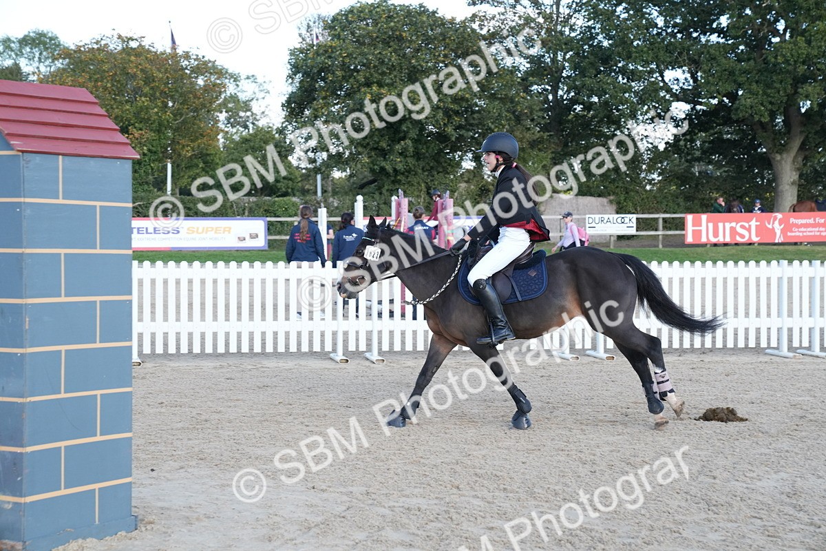 SBM_28071 - J43 - Super Speedy Scurry Open - 60cm