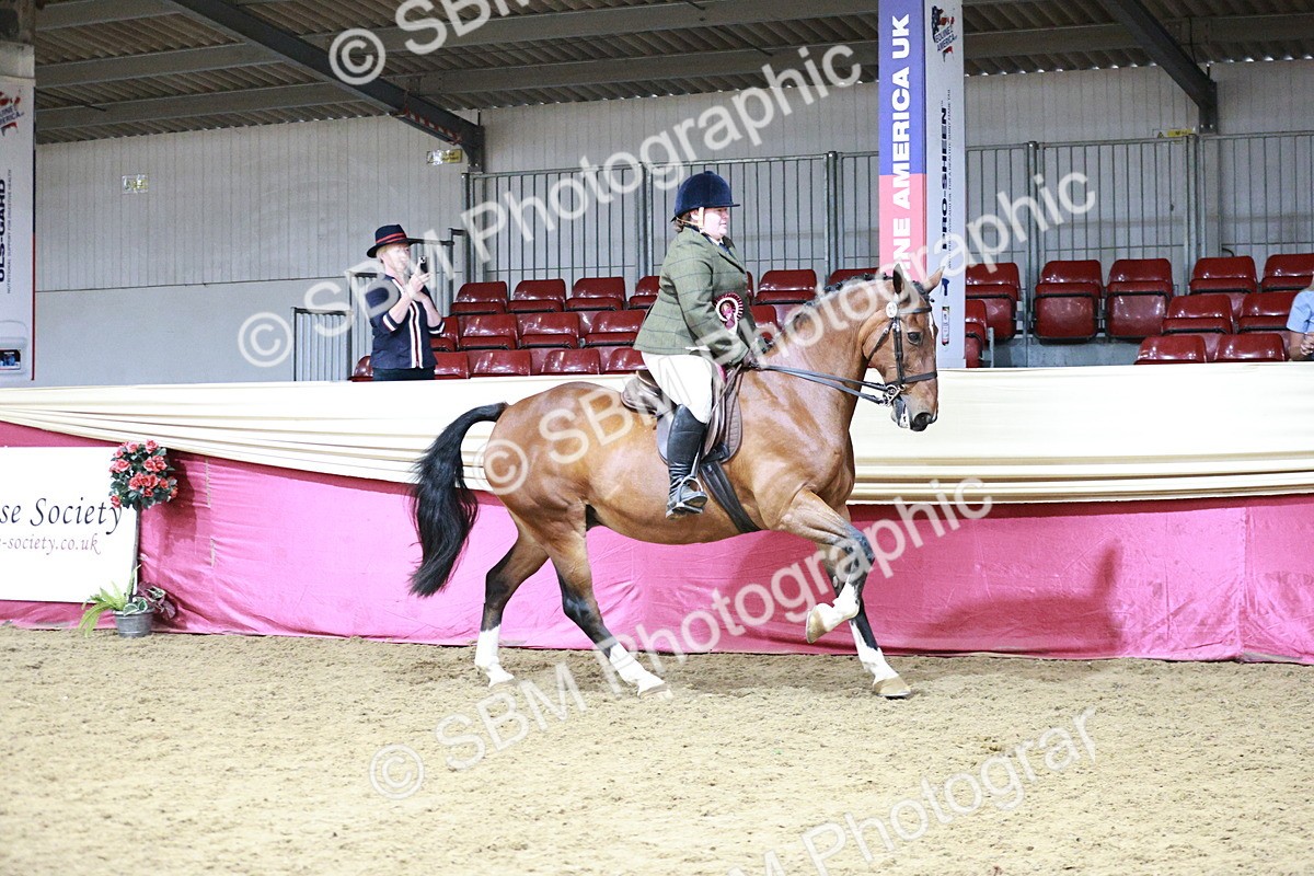 SBM_08404 - Class 11R - Regional Ridden Veteran