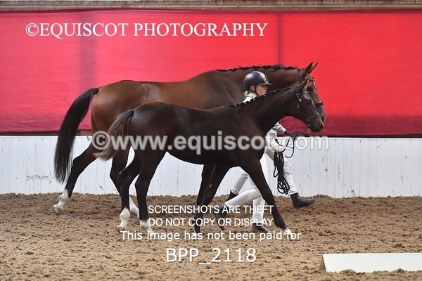 BPP_2118 - AFTERNOON 12.30 - 3.30PM