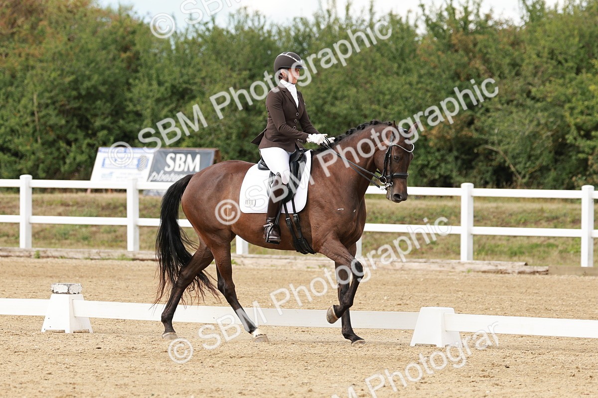 SBM_002391 - Class 11 - Medium 6