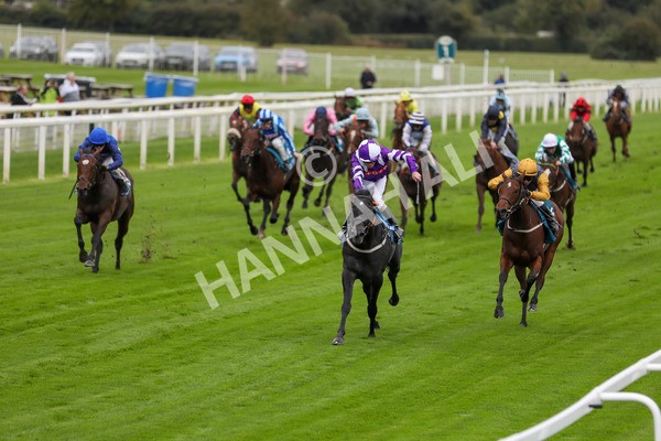 131023-Race 1-Pilgrim-9706 - Race 1 2.05pm William Hill EBF Novice Stakes