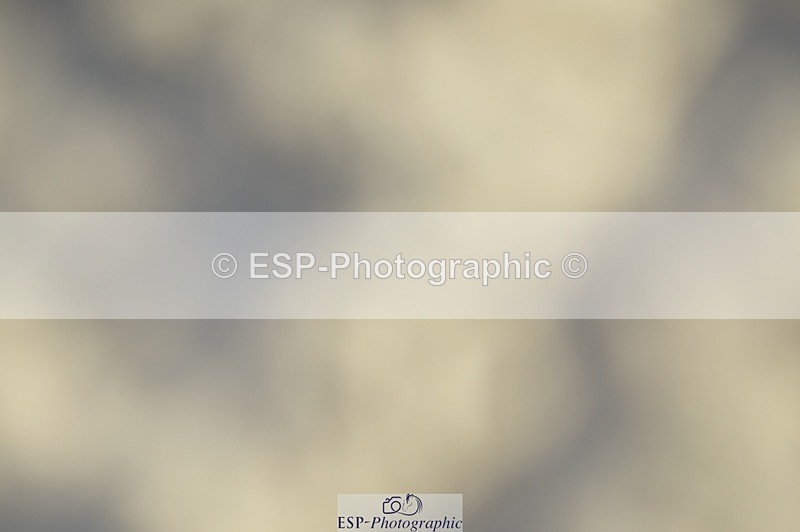 230909-174112-07303 - Cls 20 Club 80cm