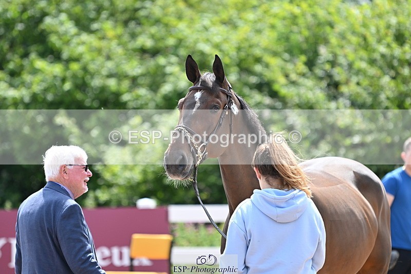 240717A-144849-02314 - Trot Up 2pm to 3pm - This folder is not in time order
