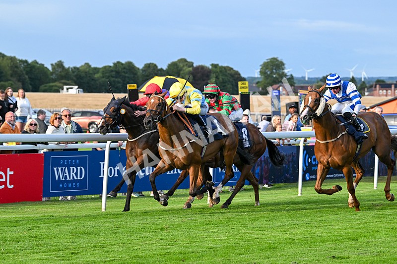 210725-Race 2-Without Flaw-6958 - Race 2