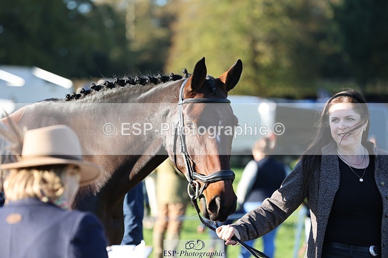 241027-085256-14872 - 459-Rachael.Hardman-I.M.ALL.YOU.WANT