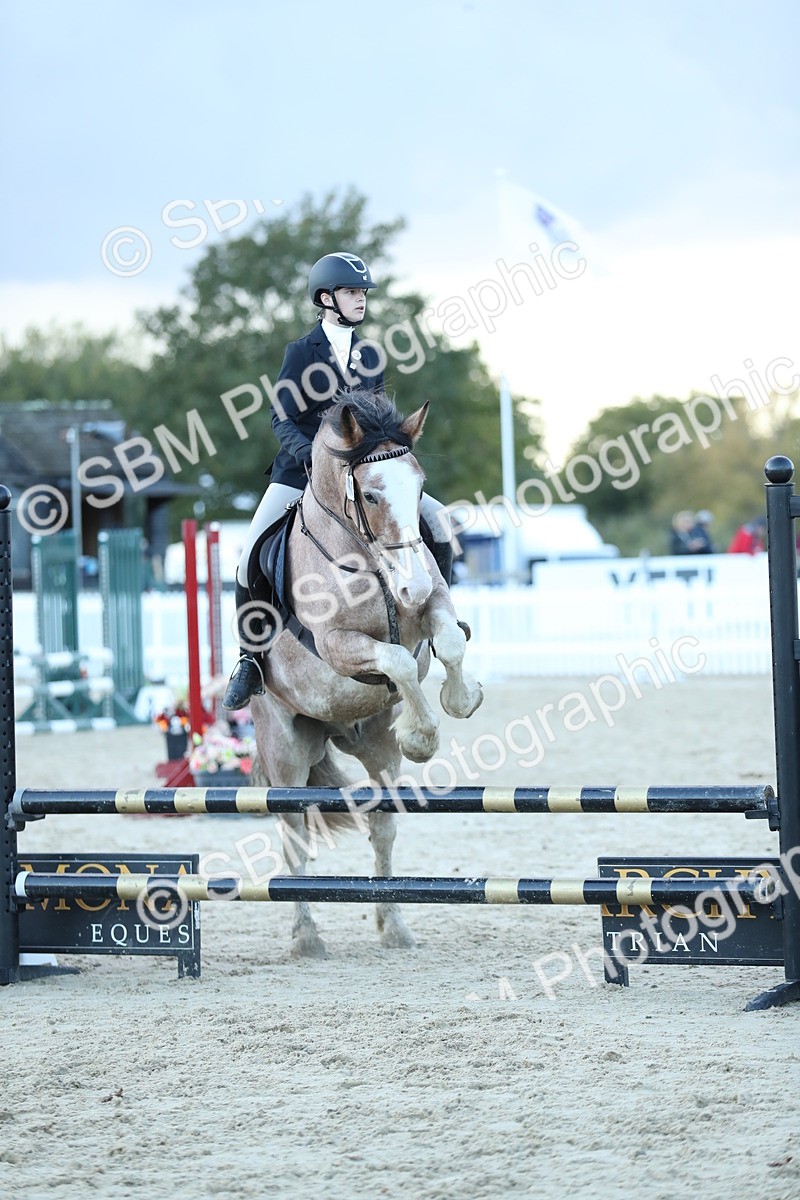 SBM_53671 - Supreme Championship 65cm 70cm