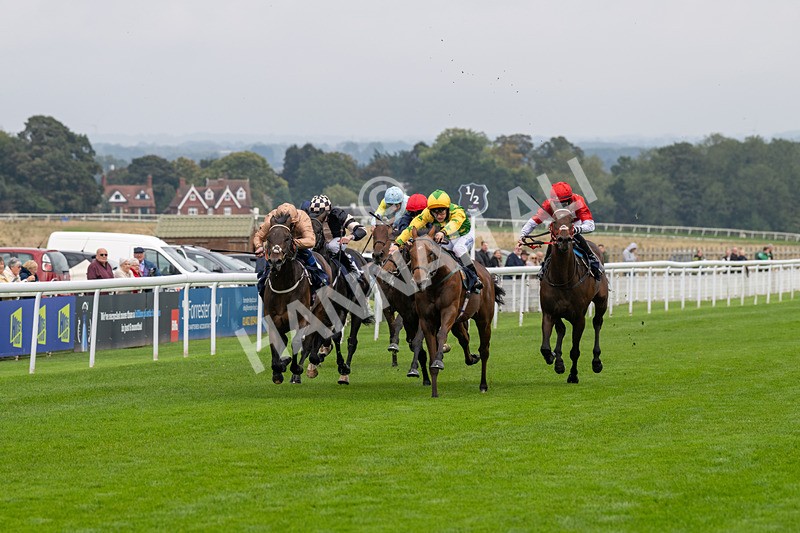 240924-Race 2-The Trickster-5906 - Race 2