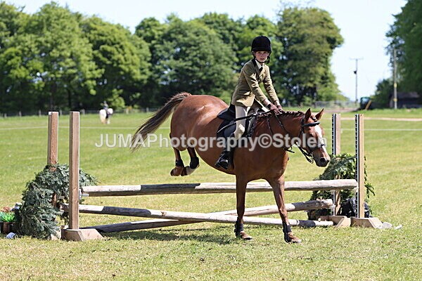 IMG_3619 - Working Hunter