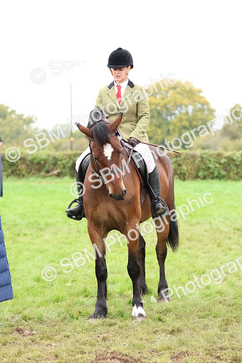 SBM_69647 - S62 - Mountain & Moorland Ridden Large Breeds