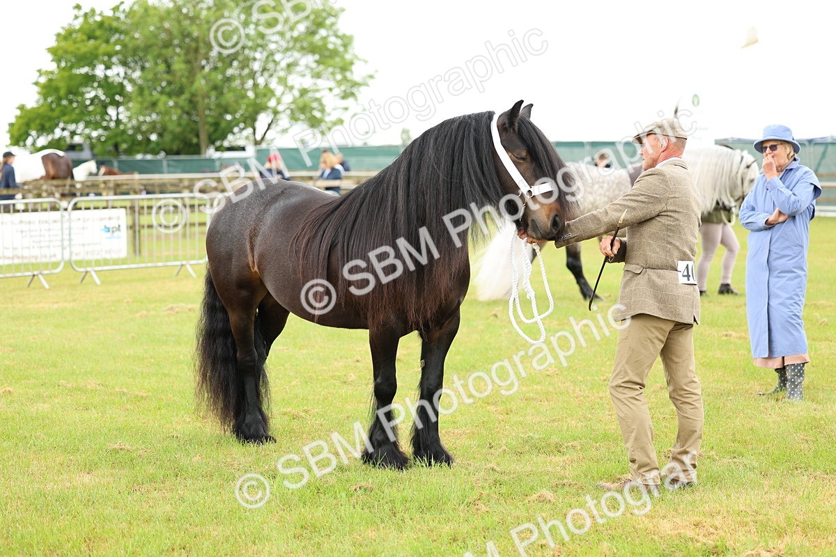 SBM_00512 - Class 58-67 - M&M Non Welsh Pony In hand