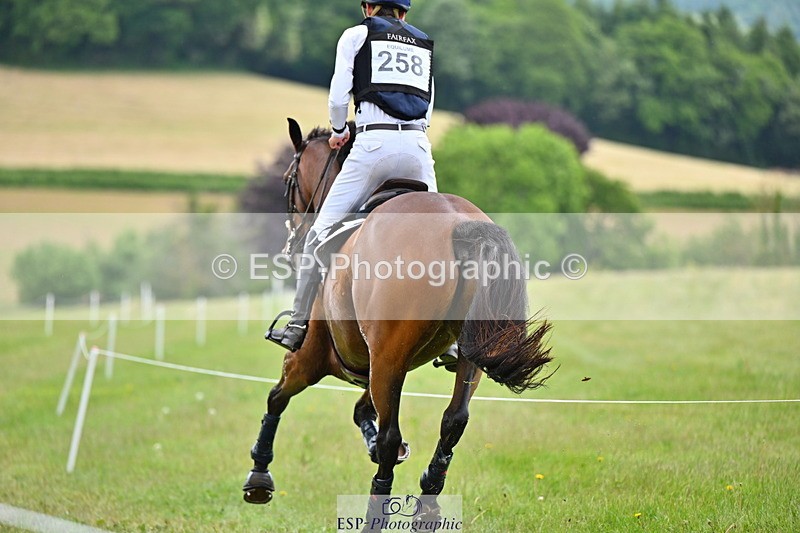 250524A-161143-14977 - C-258-Bill.Levett-ITALIAN.HARLEQUIN.NJ